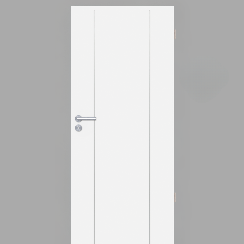 Polarweiss 03 Tür mit Lisenen Typ 4A edelstahlfarbig CPL RAL 9003