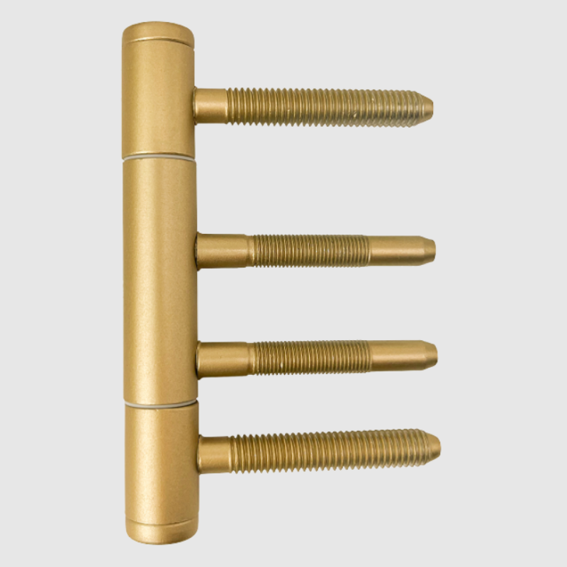 3-teiliges Türband Gold matt für Zimmertüren