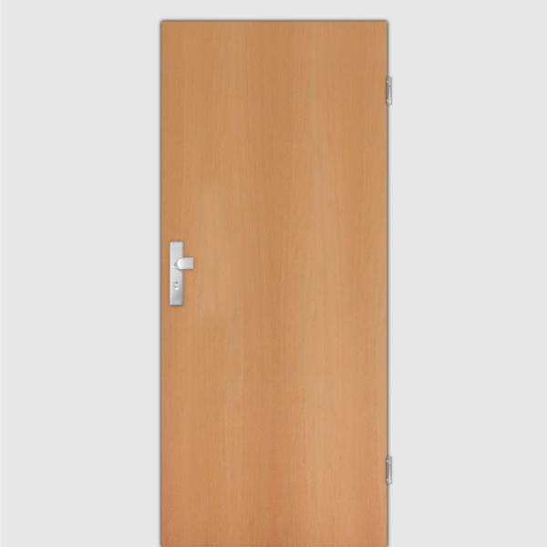 Buche Wohnungstüren / Schallschutztüren Echtholzfurnier