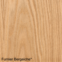 Bergeiche Mustertafel für Zimmertüren & Türzargen Furnieroberfläche Bergeiche Mustertafel für Zimmertüren & Türzargen Furnieroberfläche
