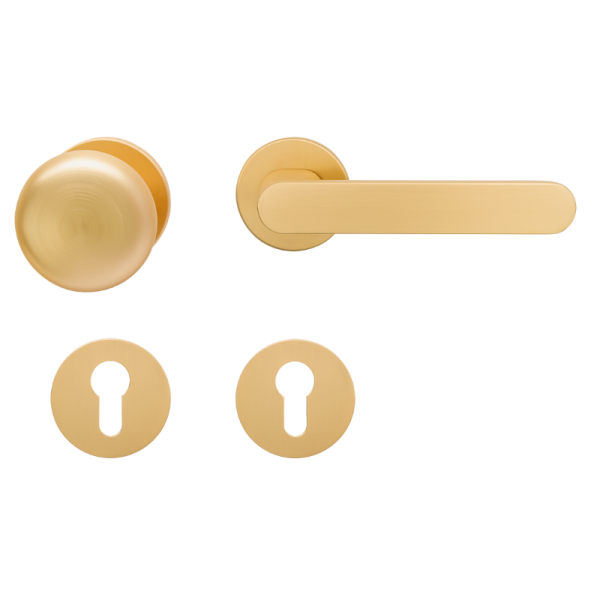 Aversa Round - Gold matt - Knopf/Drücker - Schutzbeschlag für Wohnungstüren - Griffwellt
