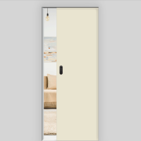 LiveSimple matt Schiebetür in der Wand laufend - G-TEC CN08 LiveSimple matt Schiebetür in der Wand laufend - G-TEC CN08