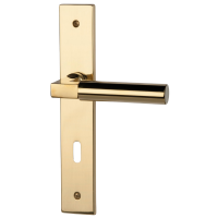 Alaska-LS - Robusta Gold - Türdrücker / Langschildbeschlag - Südmetall Alaska-LS - Robusta Gold - Türdrücker / Langschildbeschlag - Südmetall