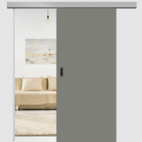 Lavagrau Schiebetür - CPL RAL 7037 Lavagrau Schiebetür - CPL RAL 7037